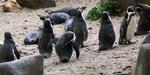 ZOO Praha