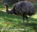 ZOO Praha