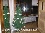 Vánoce v Perníkové chaloupce 2006